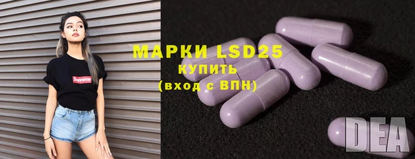 бошки Бородино
