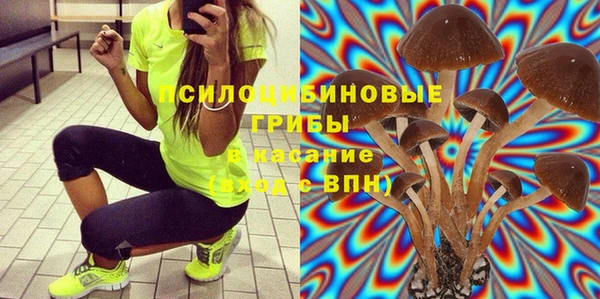 бошки Бородино