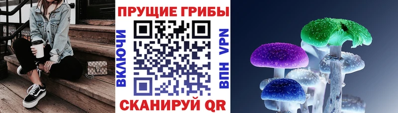 Псилоцибиновые грибы мицелий  blacksprut вход  Певек 